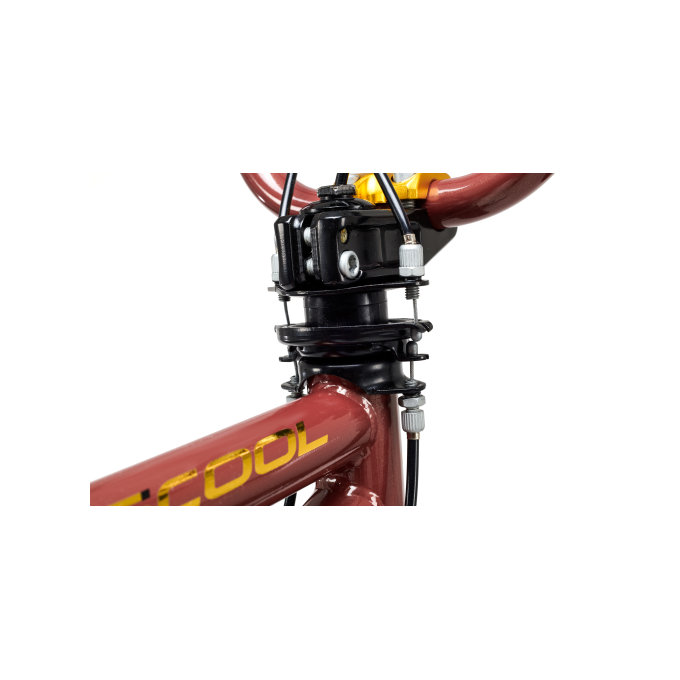 Otroško kolo XtriX 20 rjava / zlata (od 120 cm)