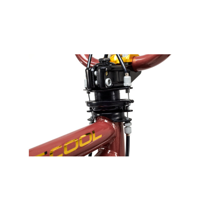 Otroško kolo XtriX 20 rjava / zlata (od 120 cm)