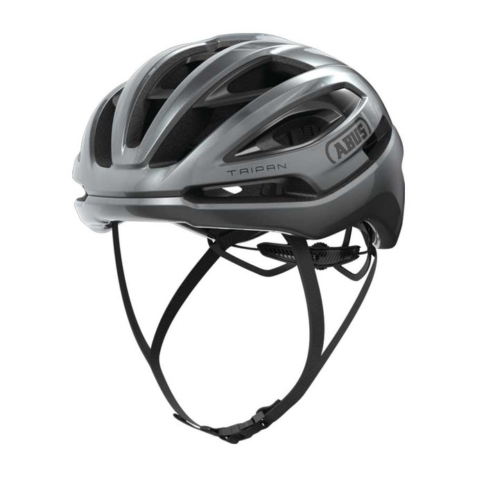 Taipan graphite silver