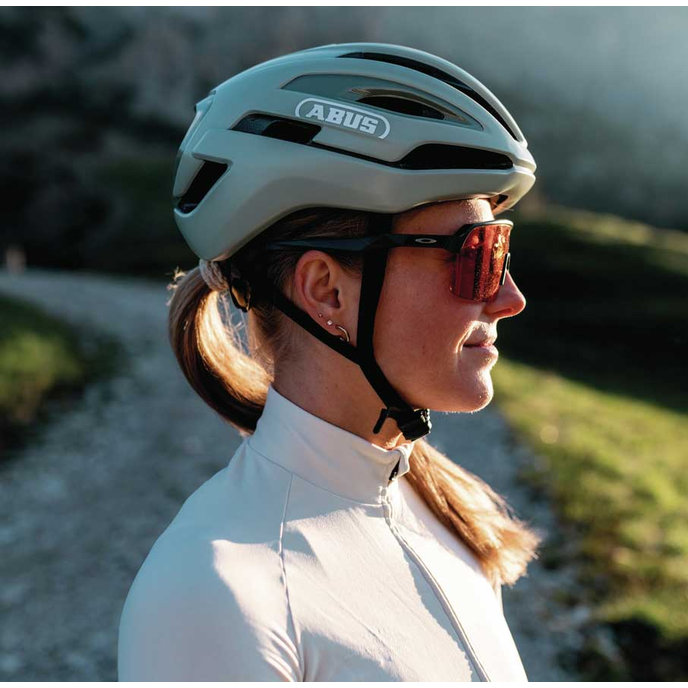 Taipan graphite silver