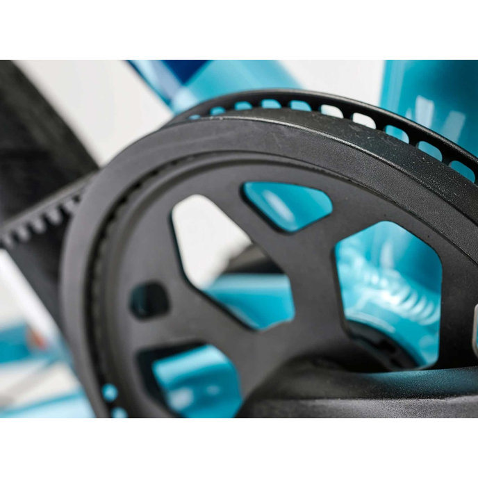 Grade 4 Belt - 20" (od 115 cm)