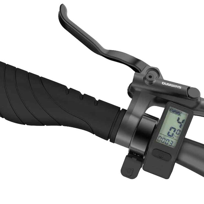 Električno kolo OG24