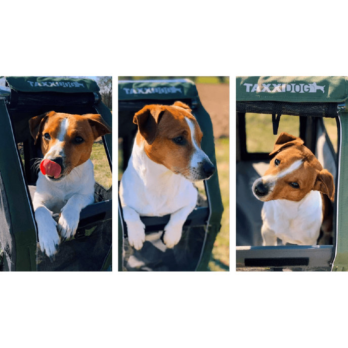 TaXXI Voziček za psa L temno siv/temno zelen