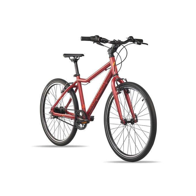 Grade 5 Belt - 24" (od 130 cm)