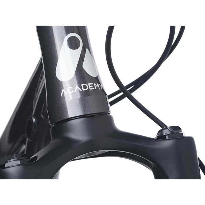 S-GRADE Trail 5 - 24"