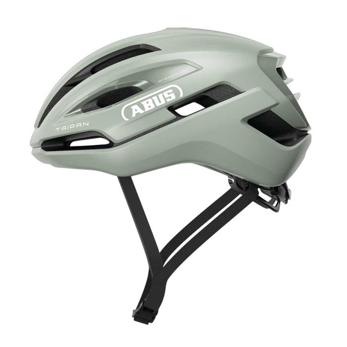 Taipan frosted green